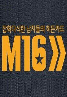 잡식남들의 히든카드 M16.E01.160111.HDTV.H264.720p-WITH