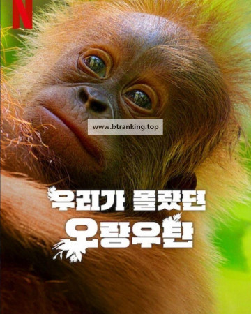 우리가 몰랐던 오랑우탄 Secret.Lives.of.Orangutans.2024.NF.WEB-DL.1080p.H.264.DDP5.1.Atmos