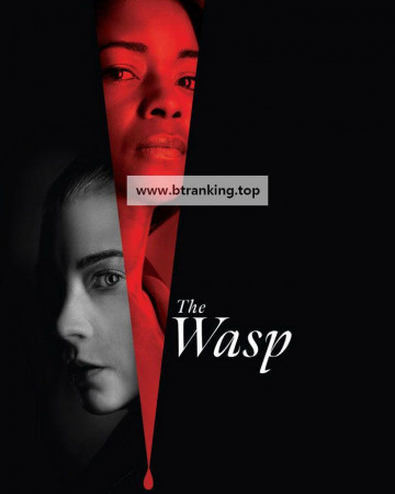 말벌 The.Wasp.2024.1080p.AMZN.WEB-DL.DDP5.1.H.264-FLUX